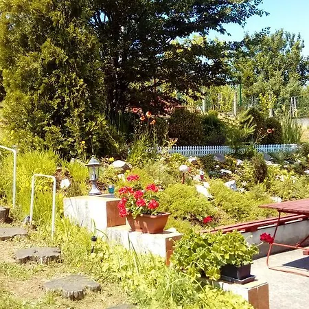 Pensjonat Fonix Vendeghaz *